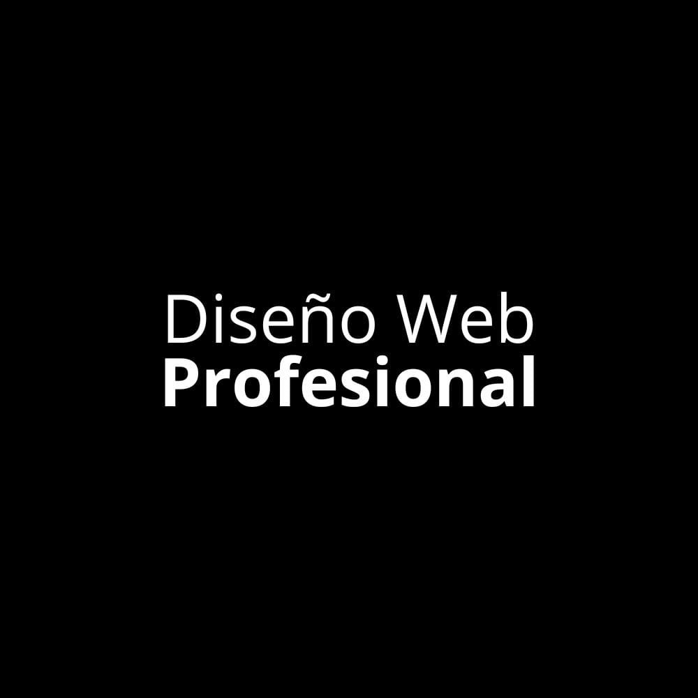 Diseño web profesional